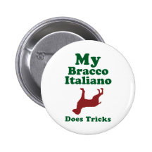 Bracco Italiano Speldje
