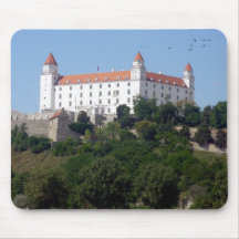 Bratislava kasteel muis mat