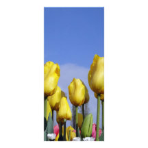 Briller jaune de tulipes modèle de double carte