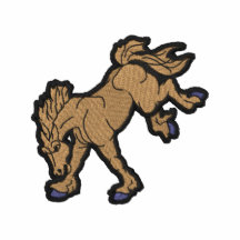 Bronco