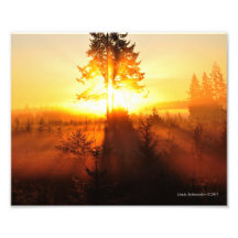 brouillard du lever de soleil 8X10 dans le nord-ou Photos D’art