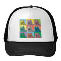 Bruit-Art de Pomeranian Casquettes De Camionneur