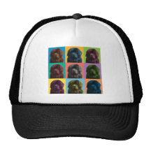 Bruit-Art de Terre-Neuve Casquettes De Camionneur
