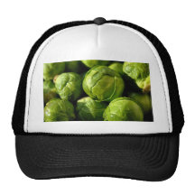Brussel Sprouts Petten