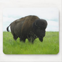 Buffalo Taureau Tapis De Souris