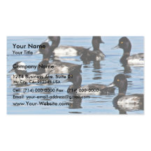 Bufflehead et plus grand fuligule milouinin cartes de visite professionnelles