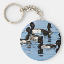 Bufflehead et plus grand fuligule milouinin porte-clé