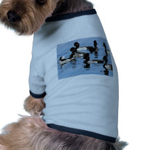 Bufflehead et plus grand fuligule milouinin manteaux pour animaux domestiques
