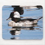 Bufflehead masculin tapis de souris