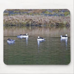 Buffleheads Tapis De Souris