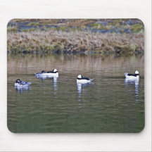 Buffleheads Tapis De Souris