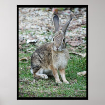 Bugs Bunny Posters