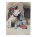 Buldog Wens Kaarten