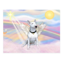 Bull-terrier Carte Postale