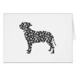 Bull-terrier du Staffordshire Carte