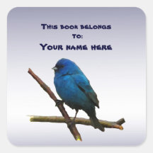 Bunting Bookplate van de indigo Vierkante Sticker