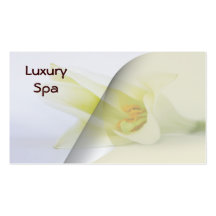 Businesscards de spa cartes de visite personnelles