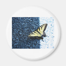 Butterly Magnets Pour Réfrigérateur