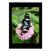 Butterly op roze kaart