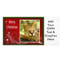 c-2011-african-serval-009 carte avec photo