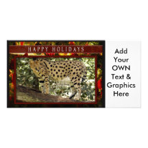 c-2011-african-serval-038 photocarte