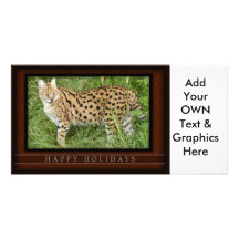 c-2011-african-serval-039 photocarte personnalisée