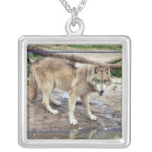c-2011-grey-wolf-011 colliers personnalisés