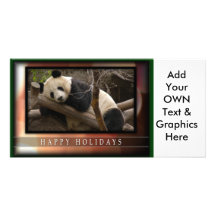 c-2011-panda-0049 photocarte customisée
