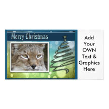 c-2011-siberian-lynx-008 cartes de vœux avec photo