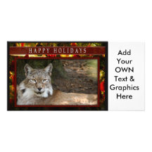 c-2011-siberian-lynx-033 cartes avec photo