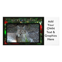 c-2011-siberian-lynx-040 photocarte personnalisée
