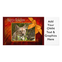 c-2011-siberian-lynx-049 carte avec photo