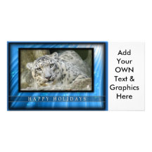 c-2011-snow-leopard-003 cartes avec photo