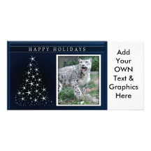 c-2011-snow-leopard-022 carte avec photo