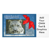 c-2011-snow-leopard-034 photocarte