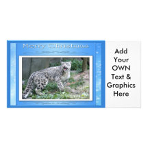 c-2011-snow-leopard-038 cartes de vœux avec photo