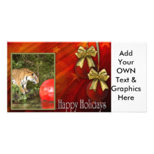 c-2011-tiger-001 photocartes