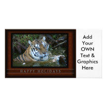 c-2011-tiger-079 carte avec photo
