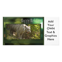 c-2011-white-tiger-026 cartes avec photo