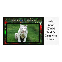 c-2011-white-tiger-028 cartes avec photo