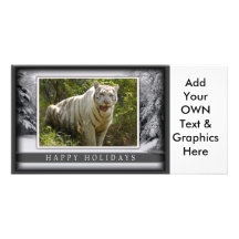 c-2011-white-tiger-043 carte avec photo