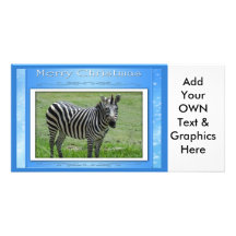 c-2011-zebra-012 cartes de vœux avec photo