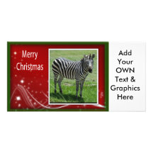 c-2011-zebra-031 cartes de vœux avec photo