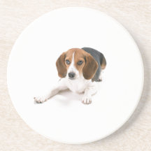 Caboteur de chien de beagle dessous de verres
