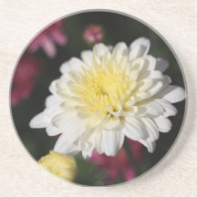 Caboteur de fleur de jardin dessous de verre