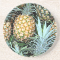 CABOTEUR HAWAÏEN D'ANANAS