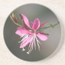 Caboteur rose de fleur dessous de verres