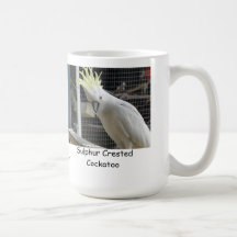 Cacatoès crêté de soufre tasse