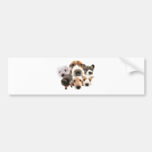 Cachorros Adhésifs Pour Voiture