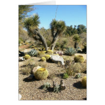 Cactus Carte